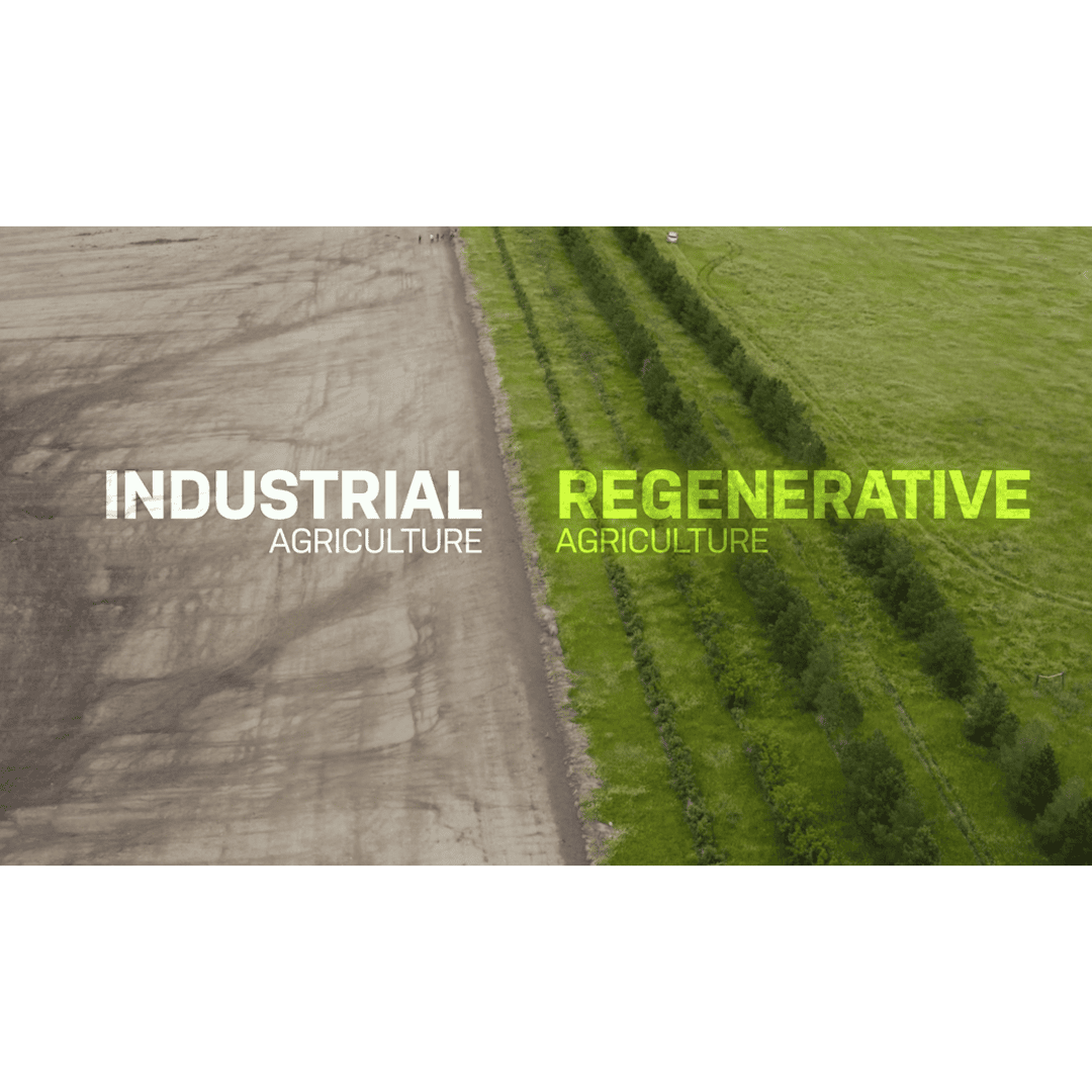 Forbes Common Ground Film