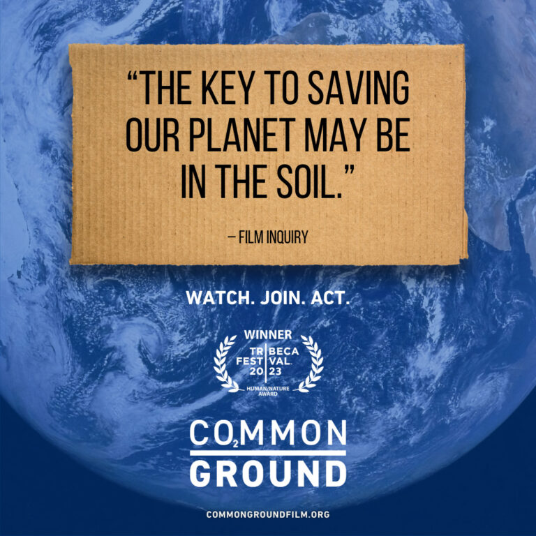 share the same common ground