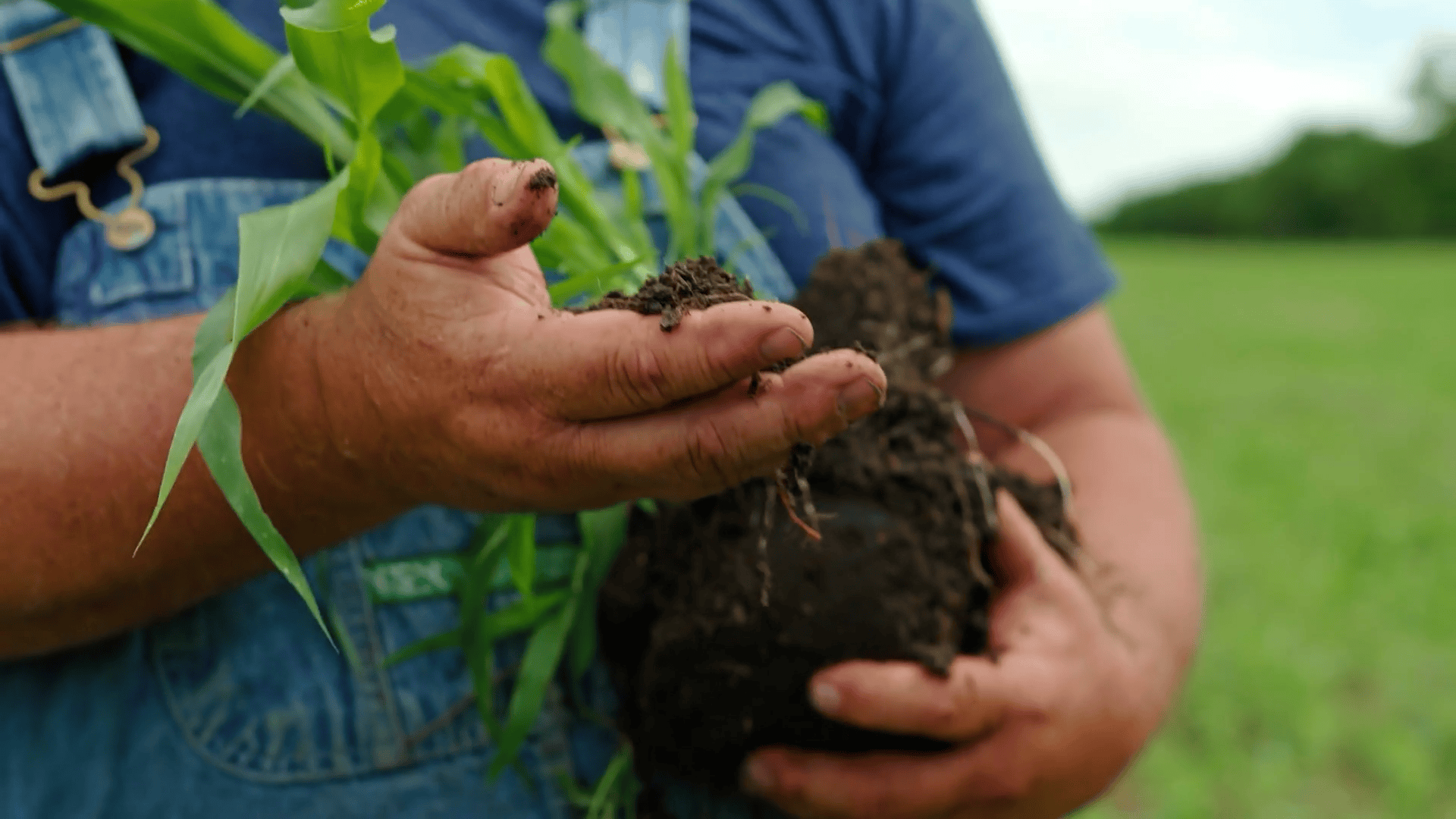 Organic Farmland - What Makes an Organic Farm? - Common Ground Film